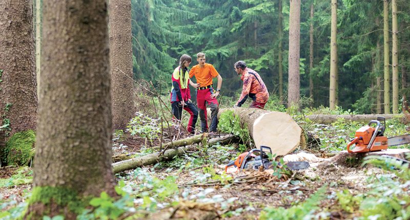 Face à la concurrence des produits étrangers, plus avantageux, les grûmes suisses peinent parfois à trouver preneur. ©Simon Gabioud