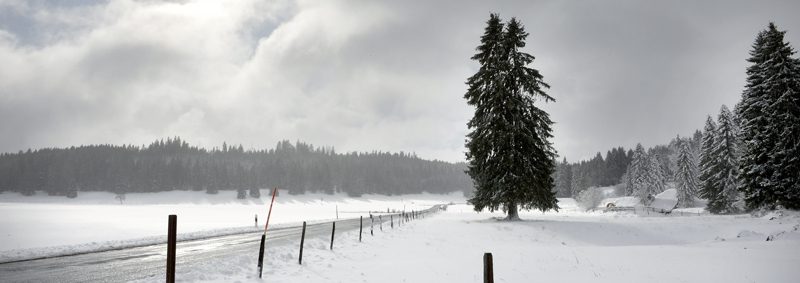 Entre Les Cluds et Mauborget, le paysage avait vraiment revêtu son costume hivernal, hier en toute fin de matinée. ©Michel Duperrex