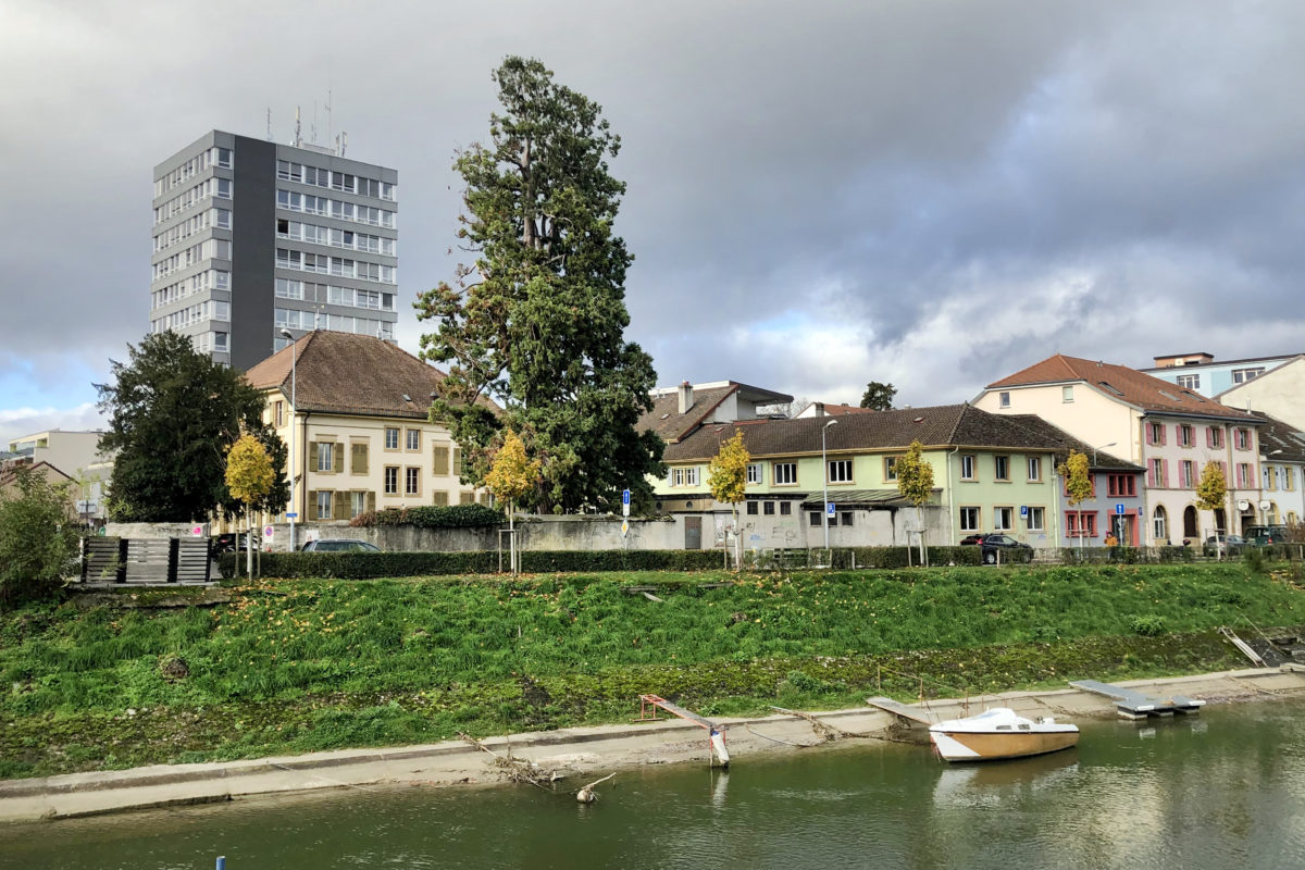 L’Office du logement sera renforcé, la lutte contre le harcèlement aussi