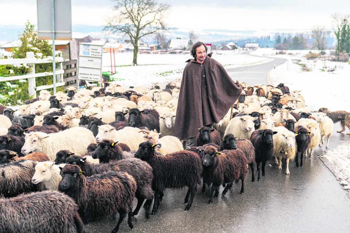 «J’aime être libre avec mes animaux»