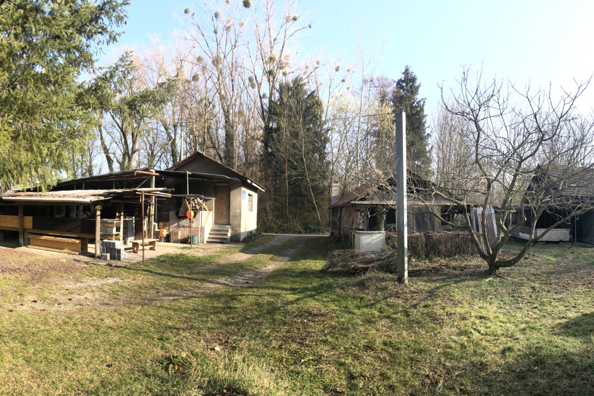 Patrimoine en péril