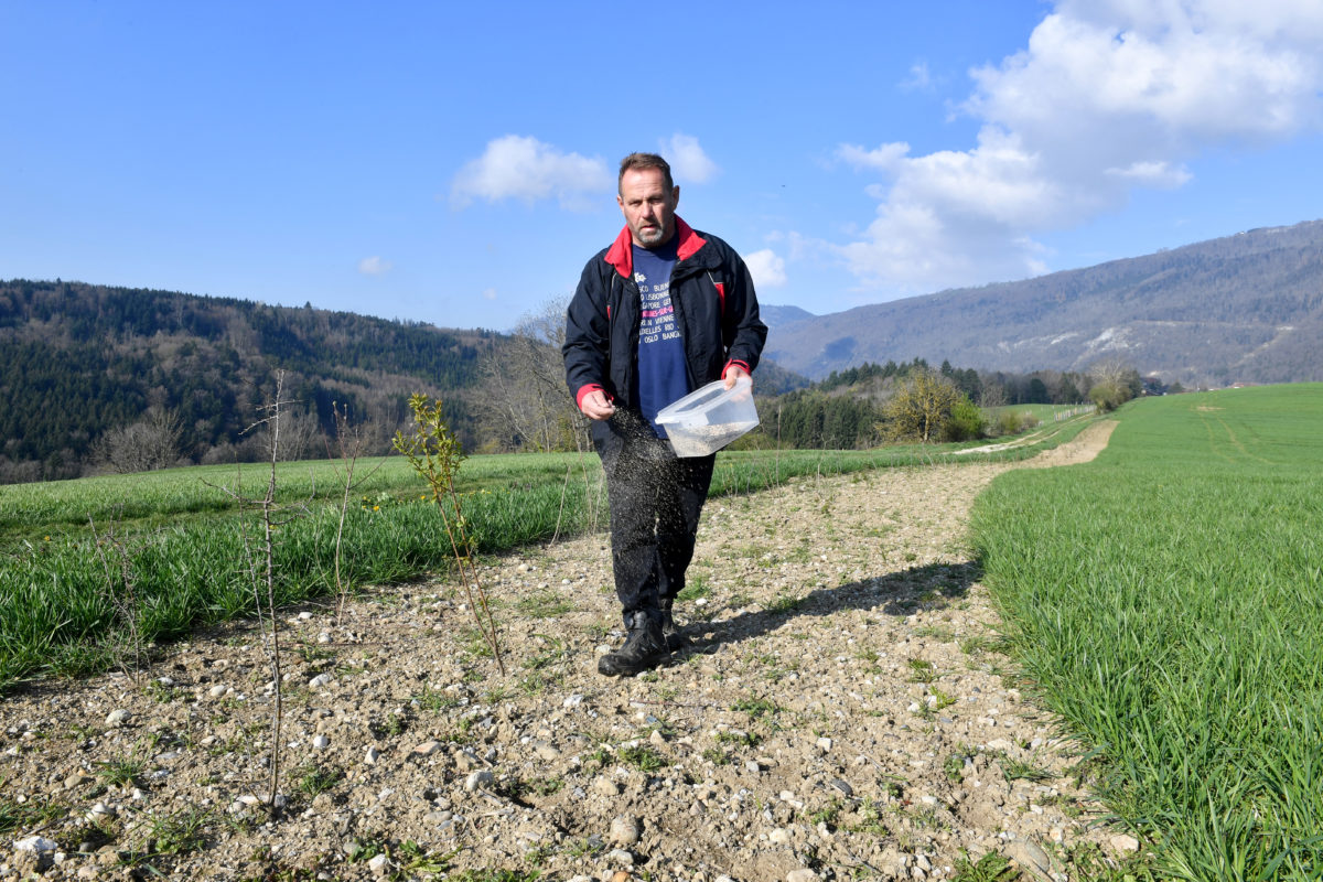 La Suisse se pare d’un tapis de fleurs