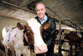 Yves Pellaux, ici avec Christa, a toujours estimé qu’il était indispensable que le président de Prométerre soit à la tête d’un domaine agricole, afin d’être en phase avec le quotidien vécu par les agriculteurs. © Nadine Jacquet