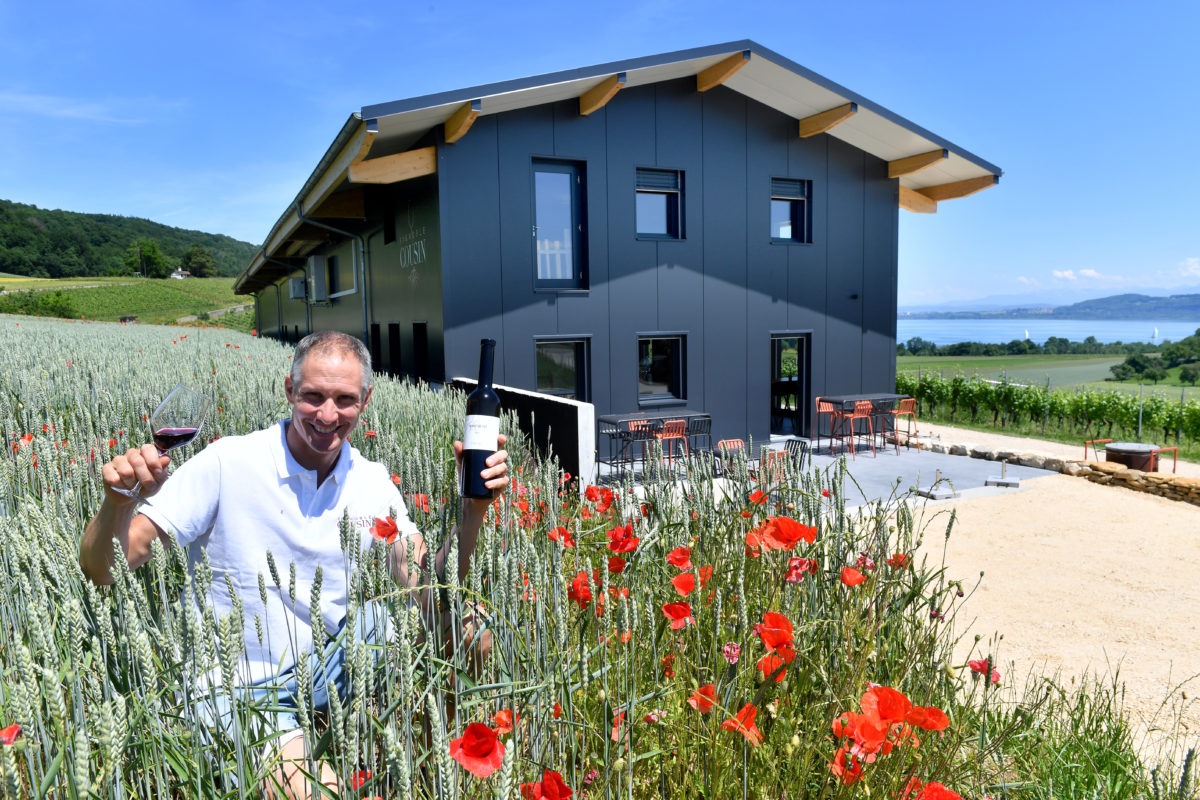 Un paradis bâti entre les fûts et les vignes