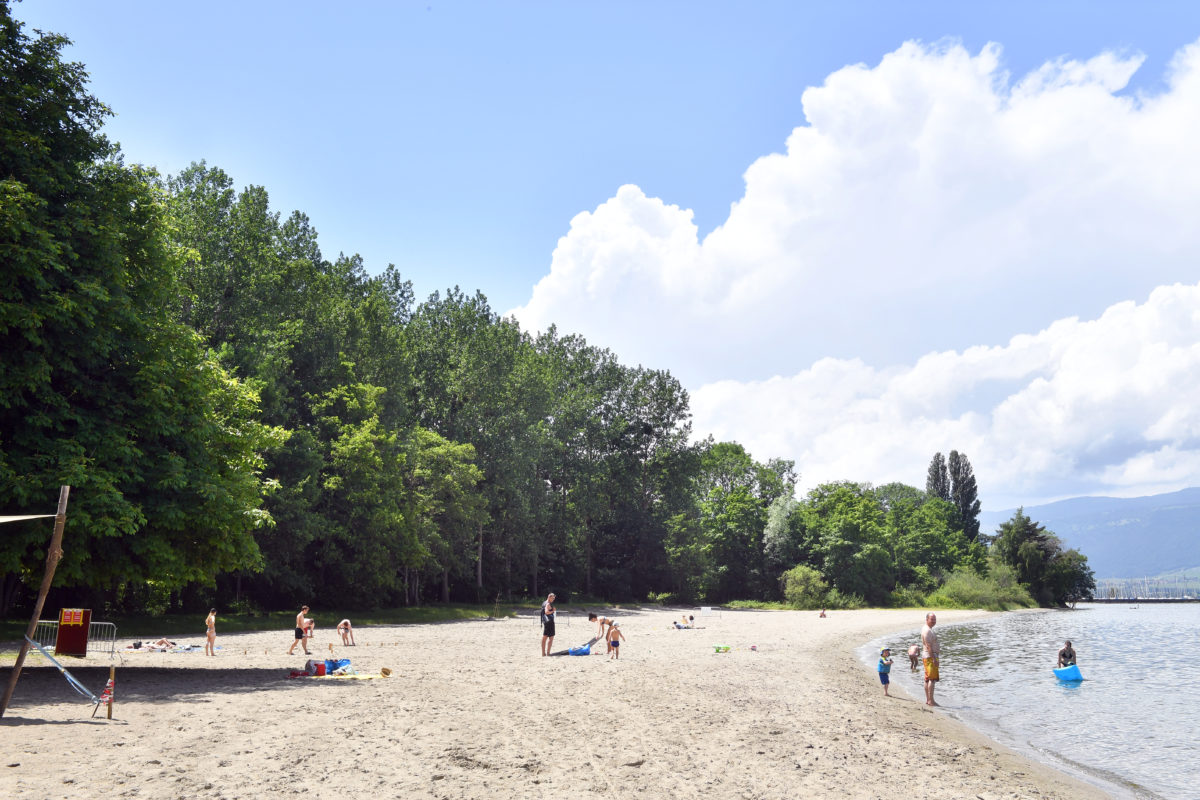 La baignade à nouveau autorisée aux Pins