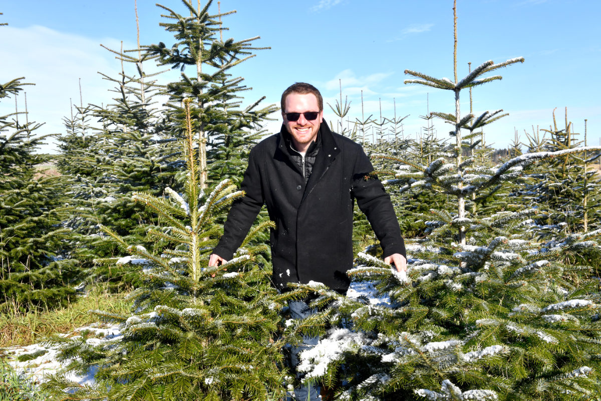 Les rois des forêts sont bien gardés