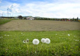 Un complexe scolaire pourrait voir le jour dans le secteur de Chamard-Châtelard parallèlement au projet d’agglomération.
