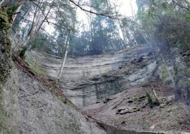 Cette parcelle avait été déboisée au mois de mars, au-dessus du sentier. ©DR