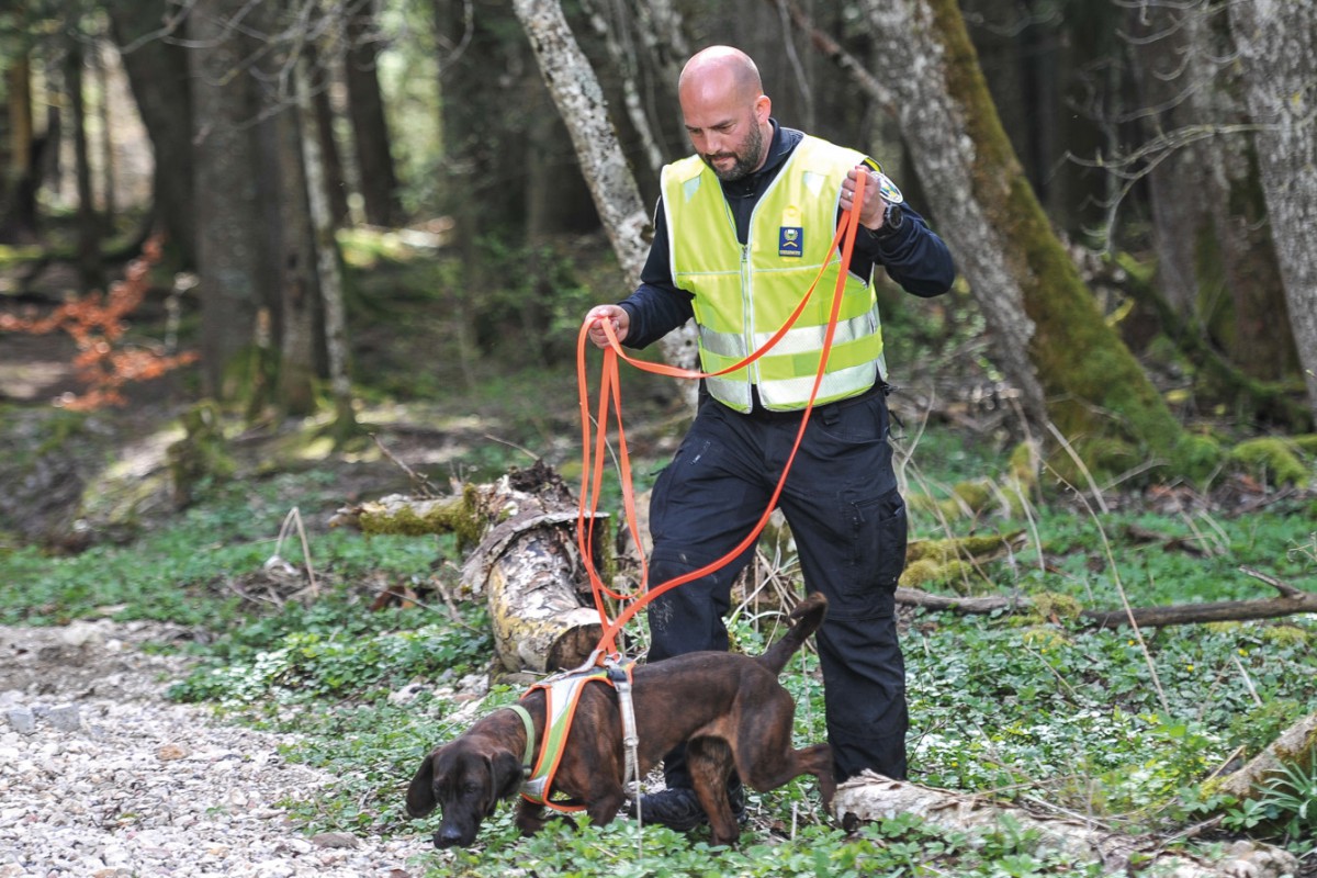 Opérations spéciales des brigades canines