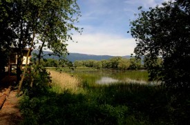 L’observatoire du Creux-de-Terre (que l’on devine derrière les arbres, ici à l’occasion de la Fête de la nature), est opérationnel depuis courant mai.