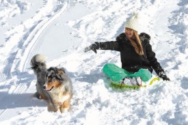 A Sainte-Croix, les fortes chutes de neige du week-end ont fait la joie des enfants qui ont ressorti les luges: Aviva et le chien Akach... © Bobby C. Alkabes
