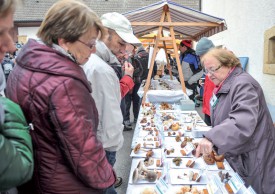 La Société mycologique du Nord vaudois a présenté un aperçu des richesses de nos forêts. ©Carole Alkabes