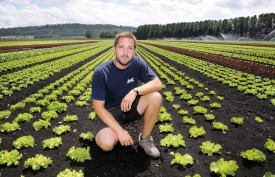 Les salades de l’entreprise Stoll (représentée ici par Vincent Stoll) ont besoin d’une attention toute particulière en cette période. © Nadine Jacquet