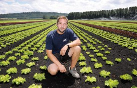 Les salades de l’entreprise Stoll (représentée ici par Vincent Stoll) ont besoin d’une attention toute particulière en cette période. © Nadine Jacquet