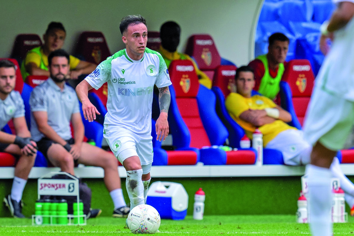 Les treize nouveaux visages des Verts