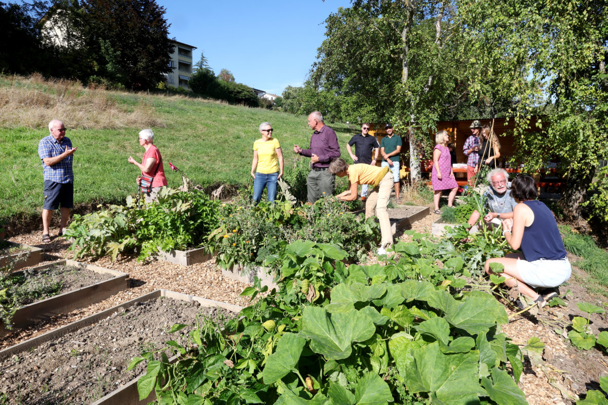 Planter une graine dans l’esprit des enfants