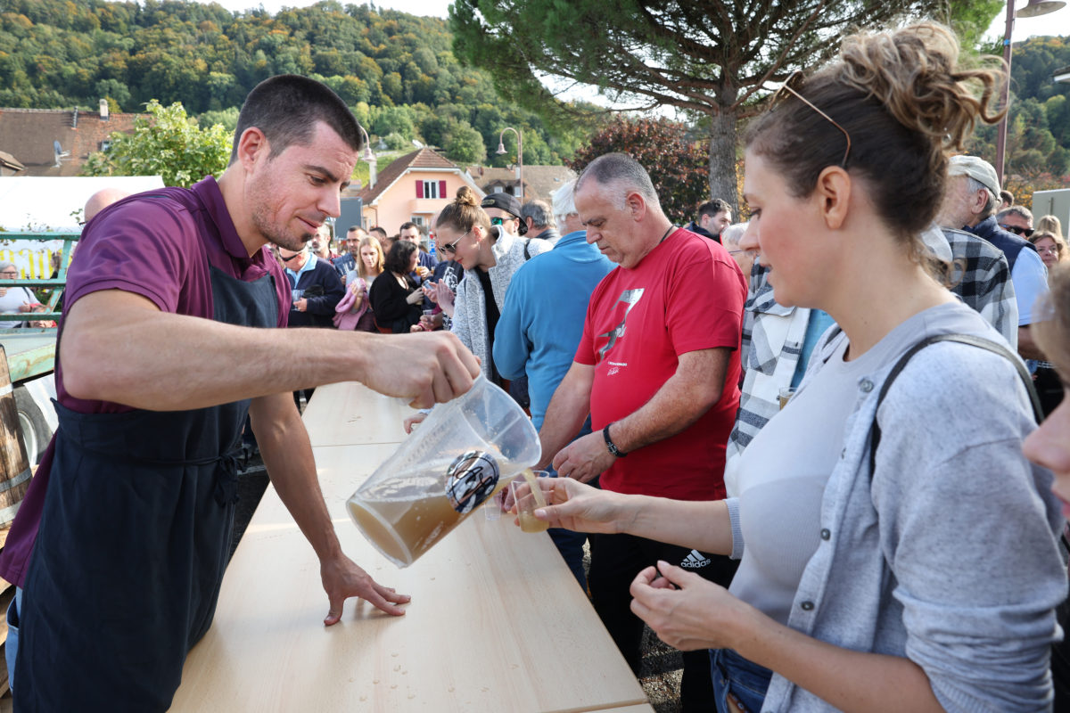 Vendanges maussades, mais fête réussie!