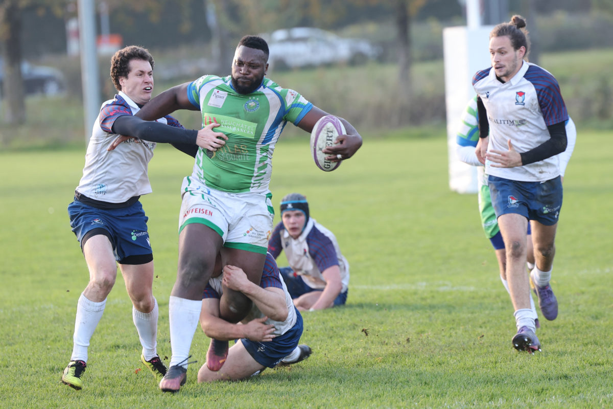 Champion d’automne