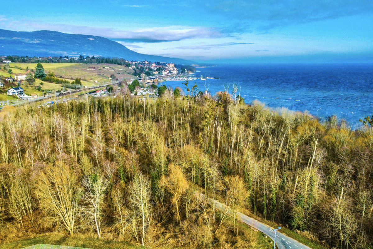 La Grande Cariçaie  en terres grandsonnoises