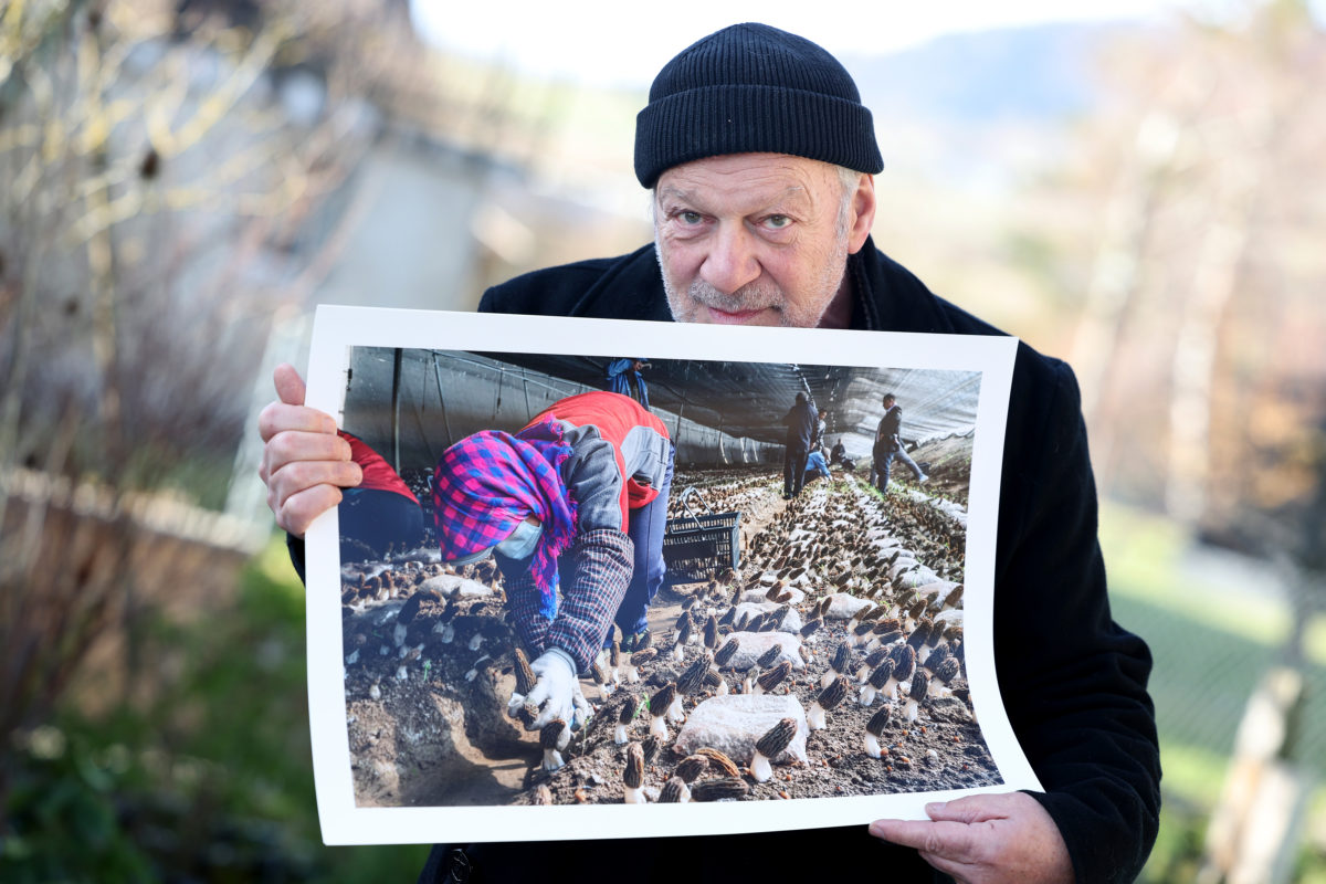 «Tout le vivant est positif»