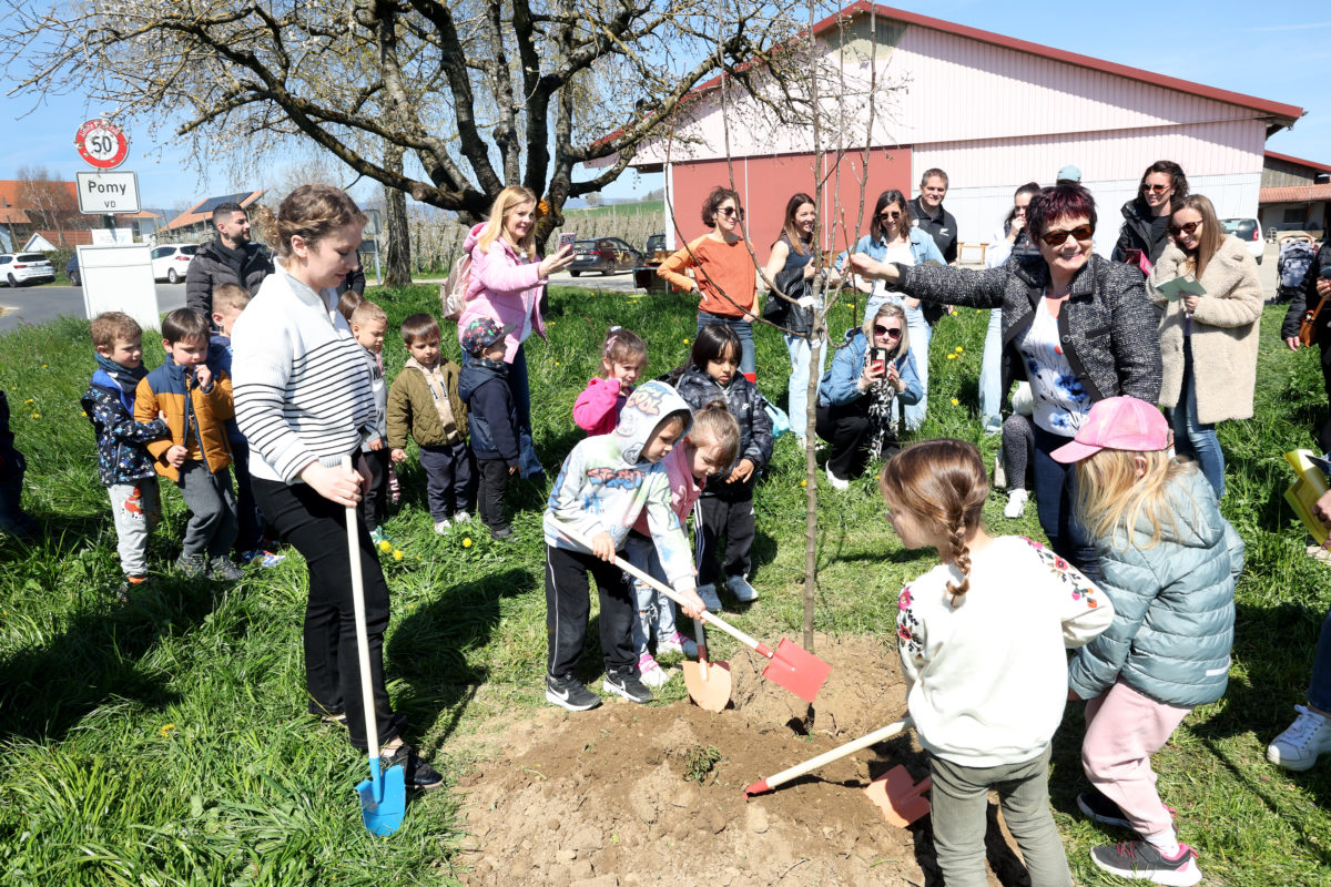 Un arbre et des jeunes pousses