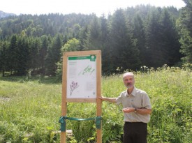 Pierre-François Raymond, l’inspecteur forestier des arrondissements 7 et 10, à l’heure des explications. © Ludovic Pillonel