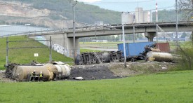 L’acide sulfurique a complètement brûlé la végétation, à l’endroit de son écoulement. © Michel Duperrex