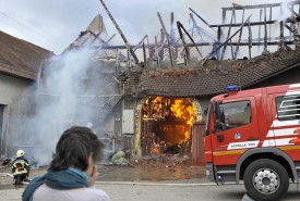 Quarante-cinq vaches sont mortes dans l’incendie qui a ravagé la ferme familiale le 24 décembre.