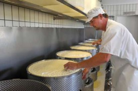 La séparation du caillé et du petit-lait s’opère dans les moules perforés. Les fromages de Vincent Tyrode ont déjà obtenu des distinctions dans plusieurs concours nationaux et internationaux.