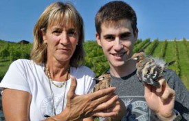 Carole Daenzer et Ludovic Longchamp s’occupent des nichoirs de la région.