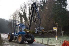 A l’aide de son bras articulé, ce machiniste est capable d’abattre un arbre et de le débarder en quelques secondes.