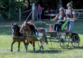 Du spectacle aux finales romandes de Corcelles-sur-Chavornay. ©Champi