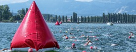 Les nageurs s’en sont donné à coeur joie dans les eaux particulièrement clémentes du Lac de Neuchâtel, hier, à la Plage d’Yverdon-Les-Bains. ©Champi