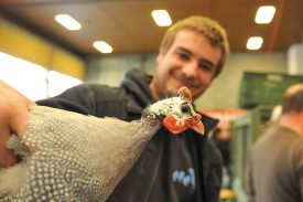 Sébastien Jacot et une pintade bleue. © Carole Alkabes