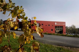 La Cave des viticulteurs de Bonvillars est incontournable pour les amateurs de vin de la région et au-delà. © Nadine Jacquet