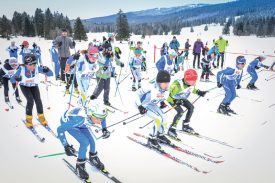 Le départ de la Mini-Mara a été donné hier en fin de matinée. ©Carole Alkabes