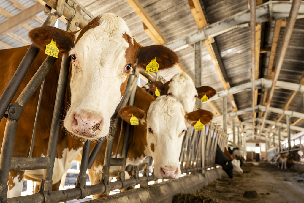 «L’agriculture fait partie de la solution»
