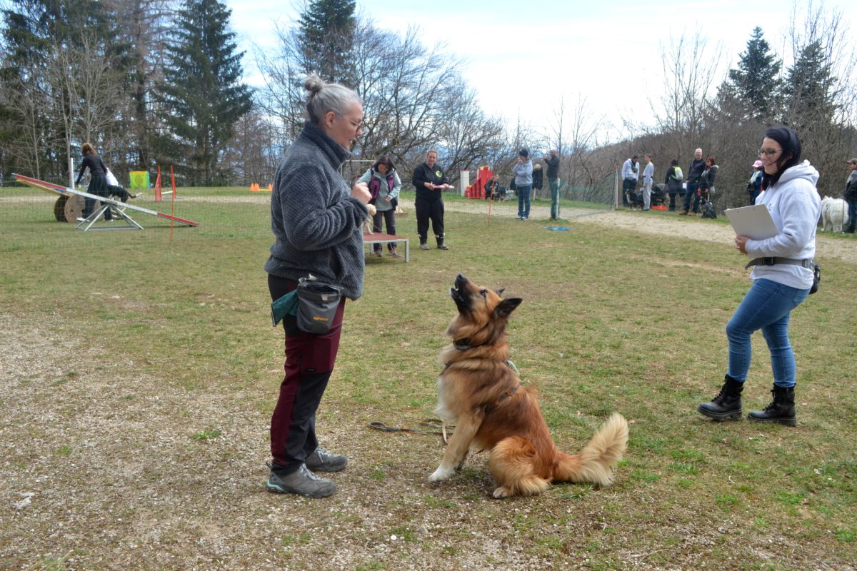 Une rencontre qui a du chien