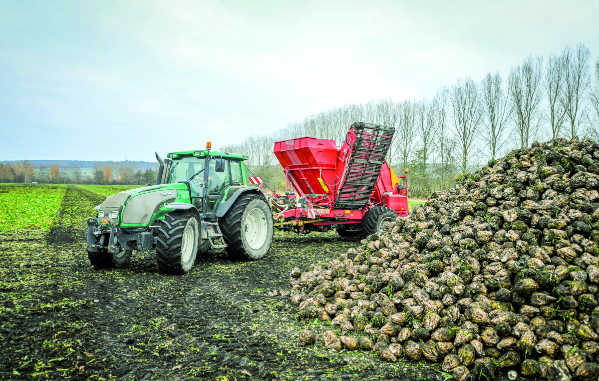 Revers amers sur la production de sucre suisse