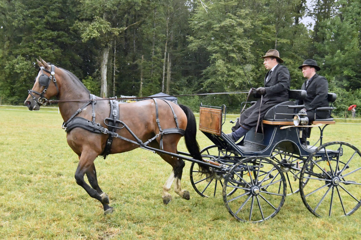 Une belle et humide édition