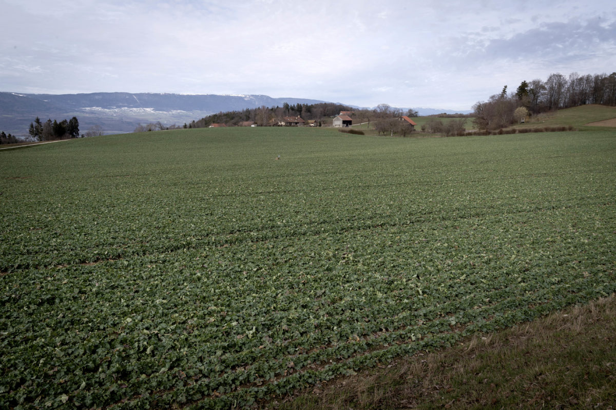 La colère du peuple a eu raison de la décharge