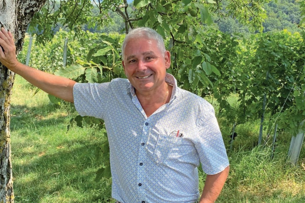 Des vignes et de la vie