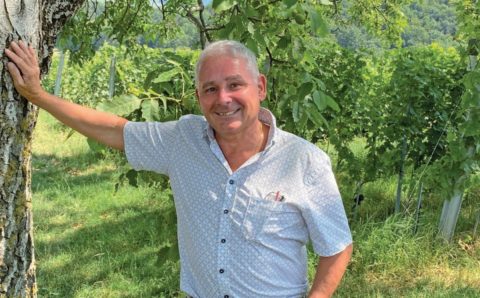 Des vignes et de la vie