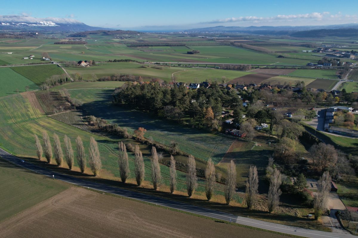 Cap sur le nord de la ville