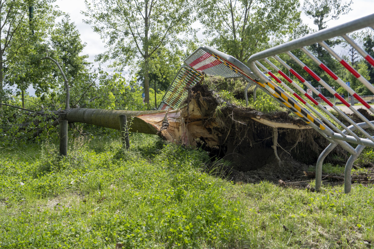 Tempête dévastatrice