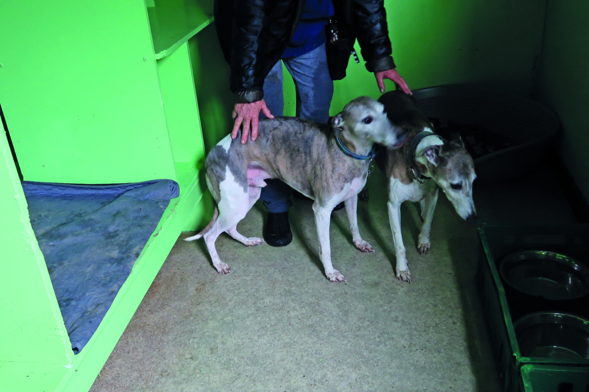 Une gardienne d’animaux crie à l’injustice