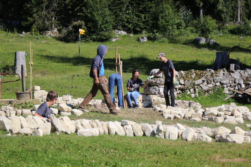 Une vingtaine d’écoliers a trié et taillé les pierres pour construire le mur. 