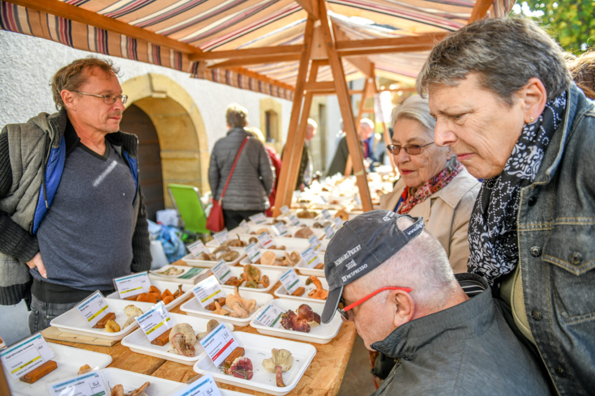 Le Marché aux truffes de Bonvillars est annulé