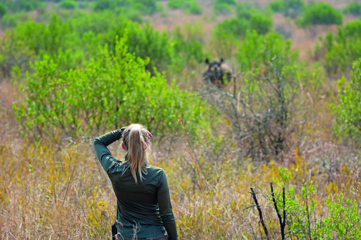 Derrière ses jumelles, elle veille sur le rhinocéros