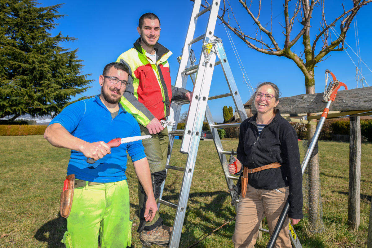 Ils bichonnent leurs arbres fruitiers